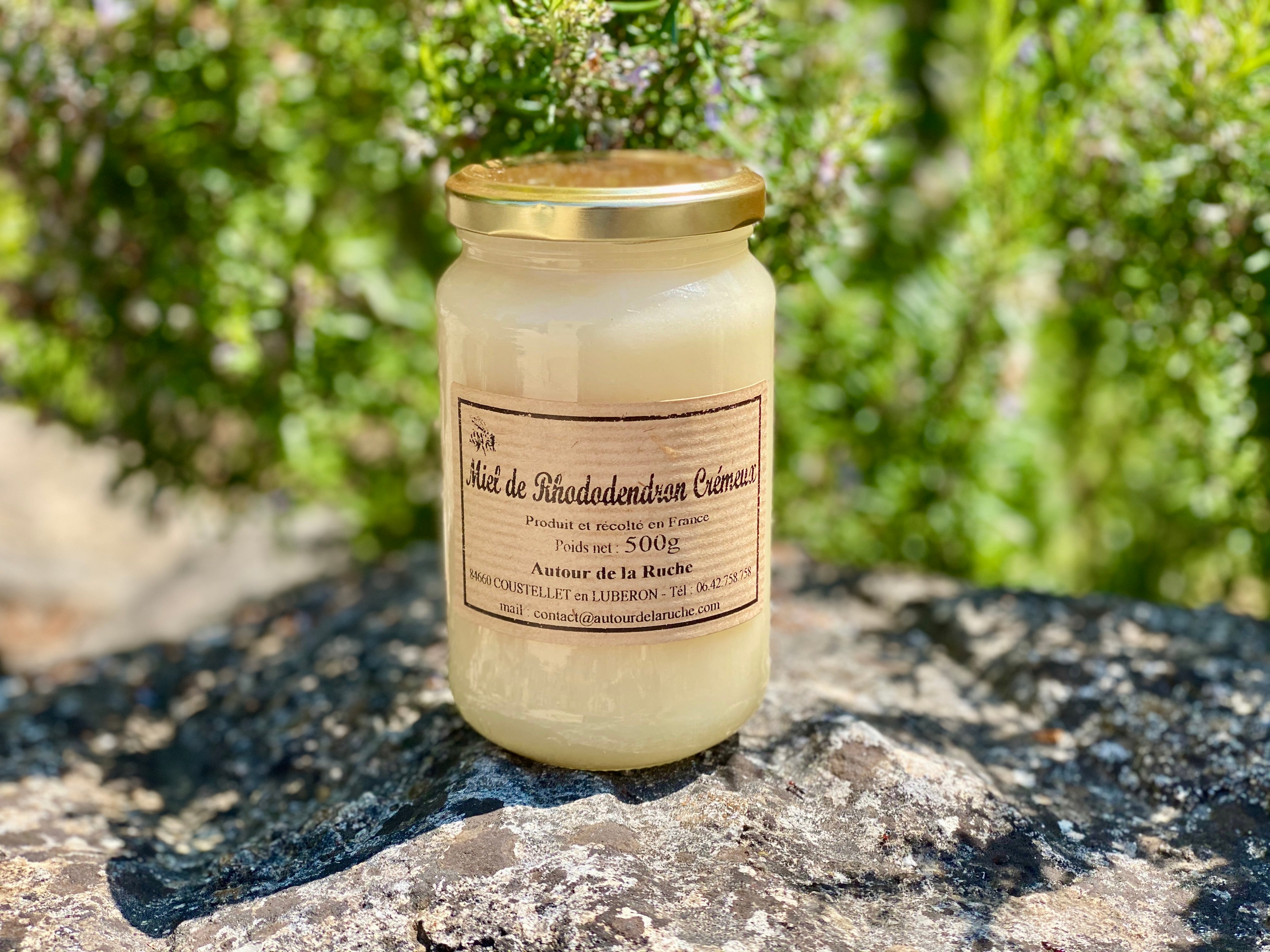 Miel de Rhododendron crémeux – Autour de la Ruche